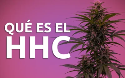 ¿Qué es el HHC y por qué está revolucionando el mundo del cannabis?